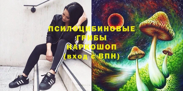 spice Волосово