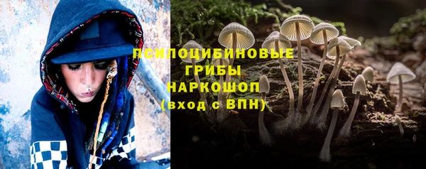spice Волосово